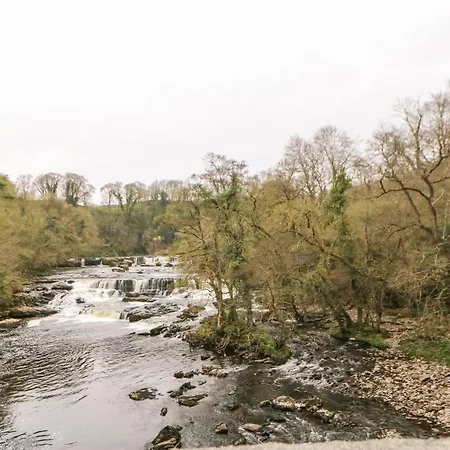 Old Wool Shop 레이번